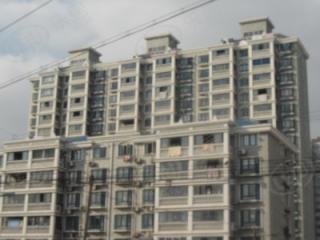 阳光新景
