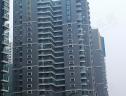 社区实景