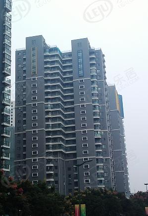 社区实景
