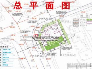 锦华阳光百合