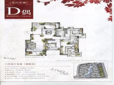 太湖国际社区D偶户型图