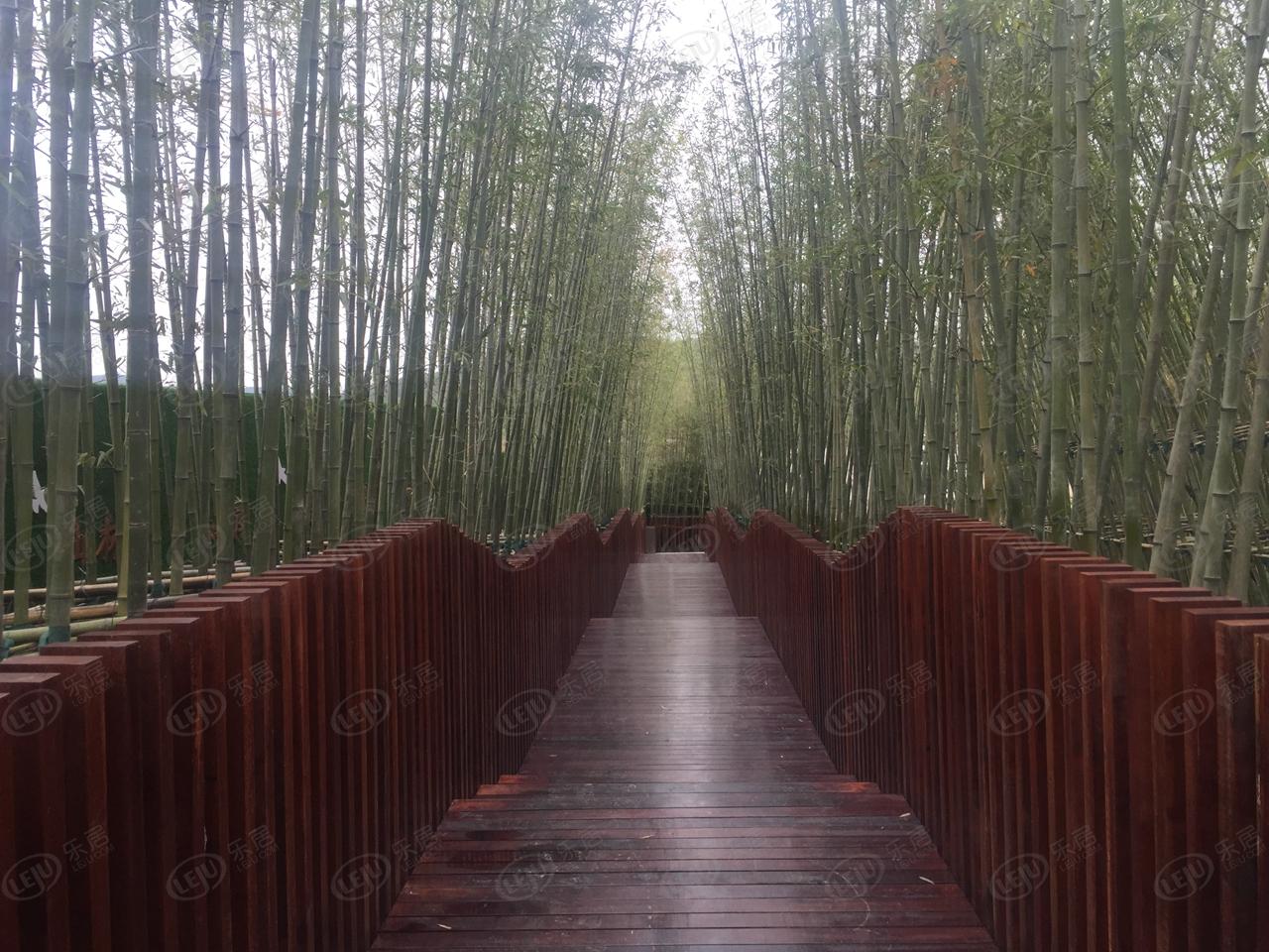 句容东原亲山，坐落于南京仙林东宝华山国家森林公园南门。