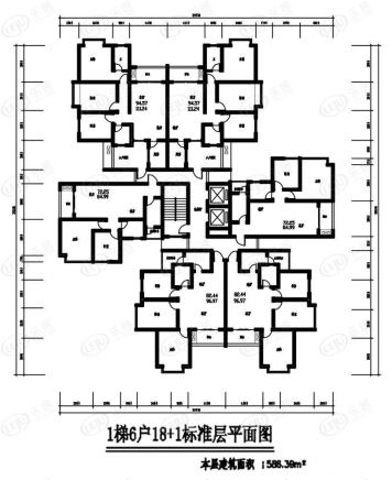 楼层平面图