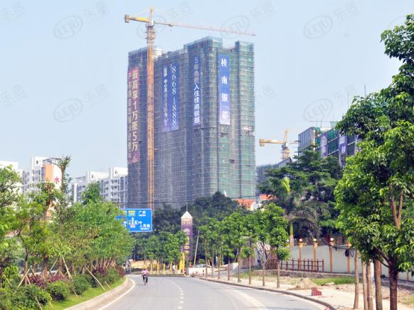 社区实景