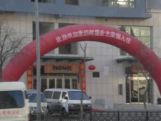 毕加索的树屋