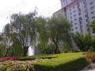 绿缘公寓