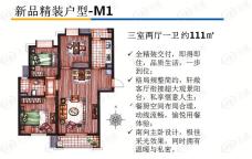 远洋悦庭新品户型图M1-111户型图