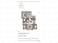 翠屏凤凰海岸墅境洋房C户型图