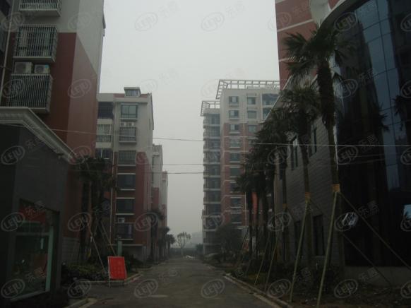 社区实景