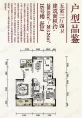 高新红枫林在售红枫林组团16号楼一层户型 五室三厅四卫 280.93-288.24平米户型图