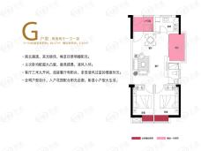 尚峰微豪宅2室2厅1卫户型图