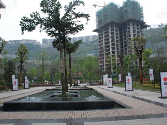 社区实景