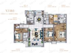 碧桂园·雍华府YJ180户型图