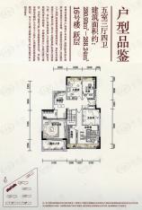 高新红枫林在售红枫林组团16号楼二层户型 五室三厅四卫 280.93-288.24平米户型图