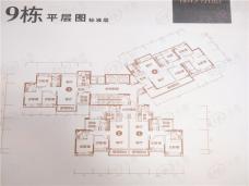 方圆合景·南沙水恋01/02/03/04户型户型图