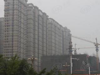 金正缔景城
