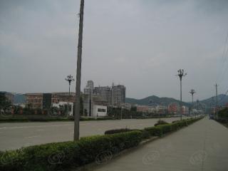 阳光假日