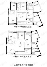 城启天鹅湾D栋03单元复式户型图