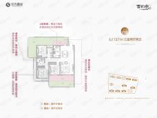 非凡·百花湖C-1户型户型图