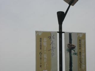 水木青华
