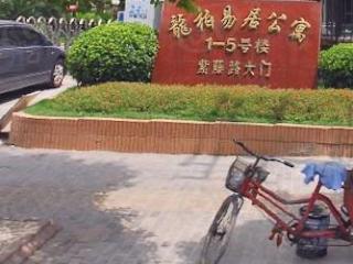 龙柏易居