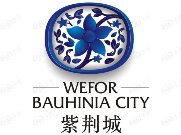 效果图