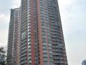 社区实景