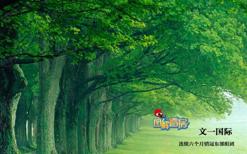 文一国际 图解看房