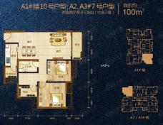 涪陵金科中央公园城A1号楼10号户型，A2.A3号楼7号户型 两室两厅双卫三阳台(可变三室)户型图