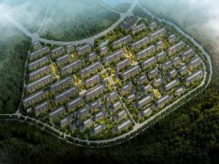 绿城云栖玫瑰园