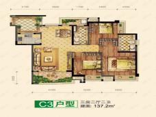 颐养公社颐养公社C3户型户型图