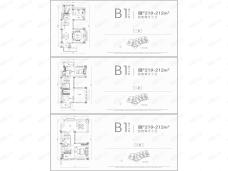 招商公园1872B1南入户210-212平户型户型图