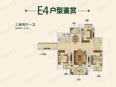 枫林天下·康城E4户型户型图