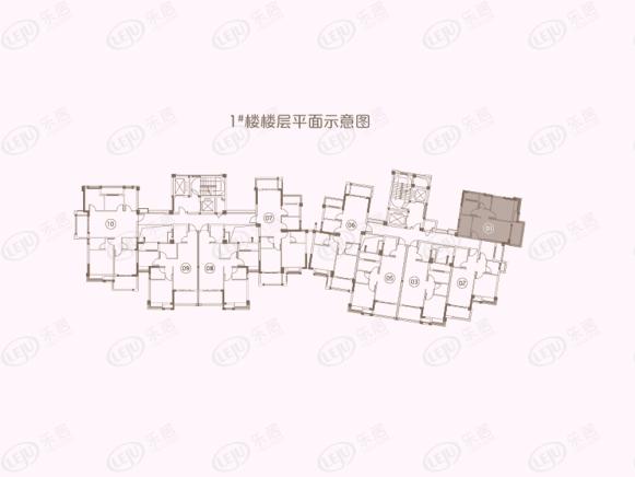 楼层平面图