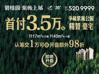 碧桂园·紫薇上城