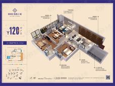 碧桂园·紫薇上城Y120户型户型图