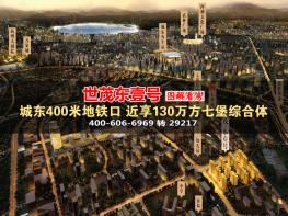 世茂东壹号图解看房