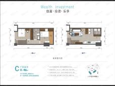 飞洋创拓两港中心1室1厅1卫户型图