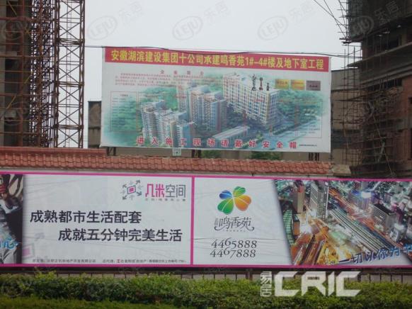 效果图