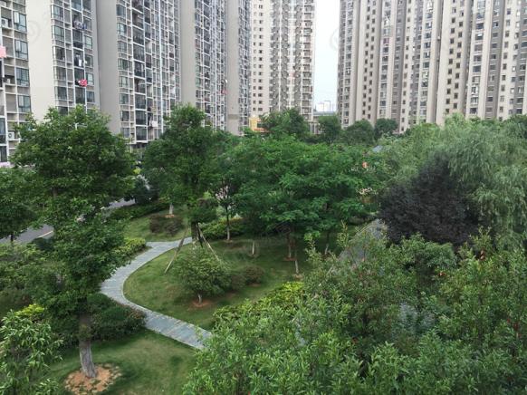 社区实景