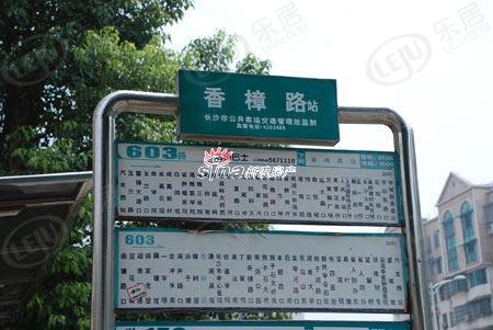 位置交通图