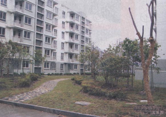 社区实景