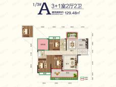 书香府邸4室2厅2卫户型图