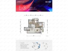 金科天籁城E-3户型户型图