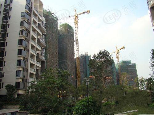 社区实景