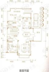 珠江东岸D双拼别墅首层平面图6室4厅6卫1厨户型图
